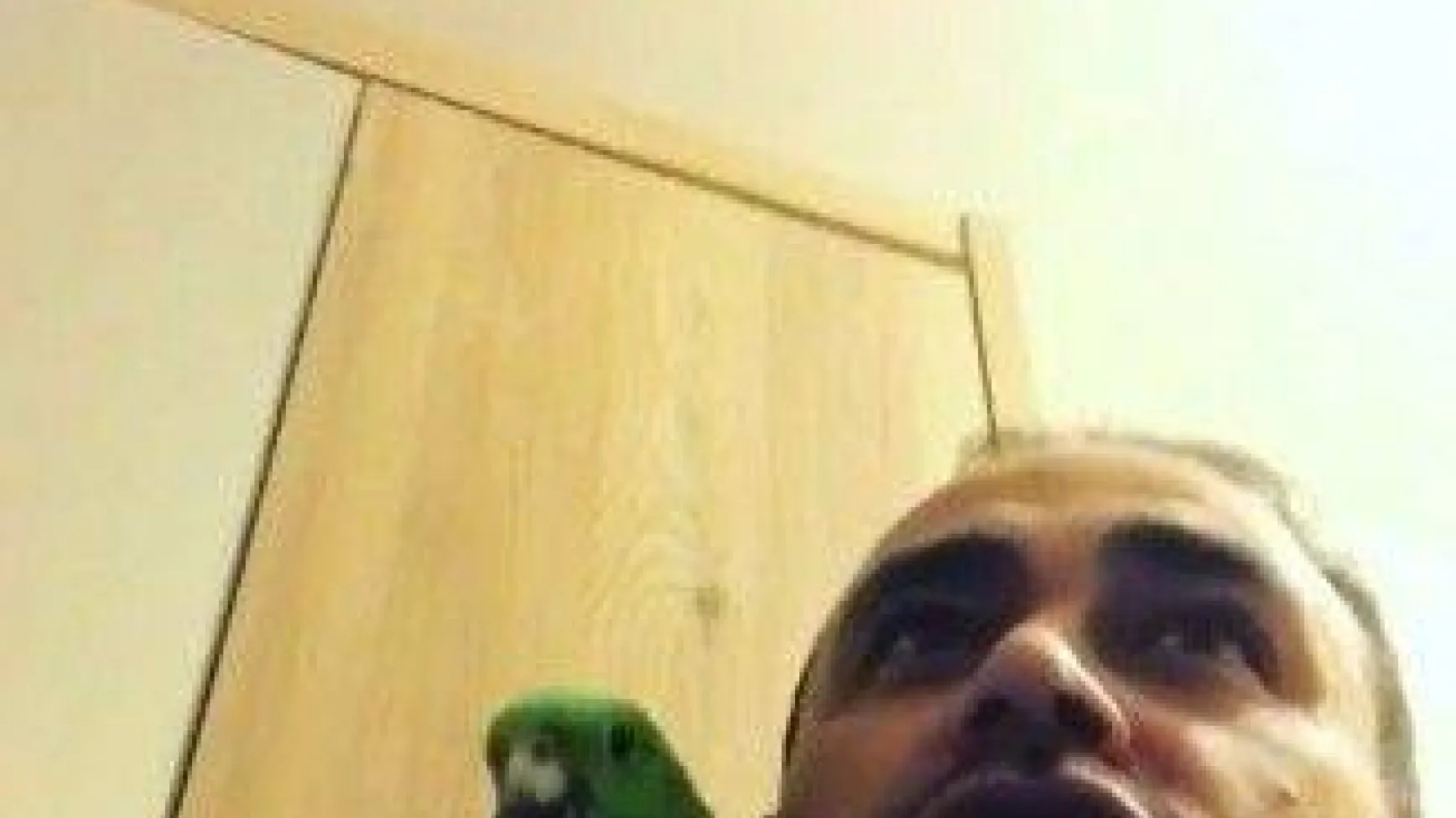 Papağan Melo sosyal medyada fenomen oldu