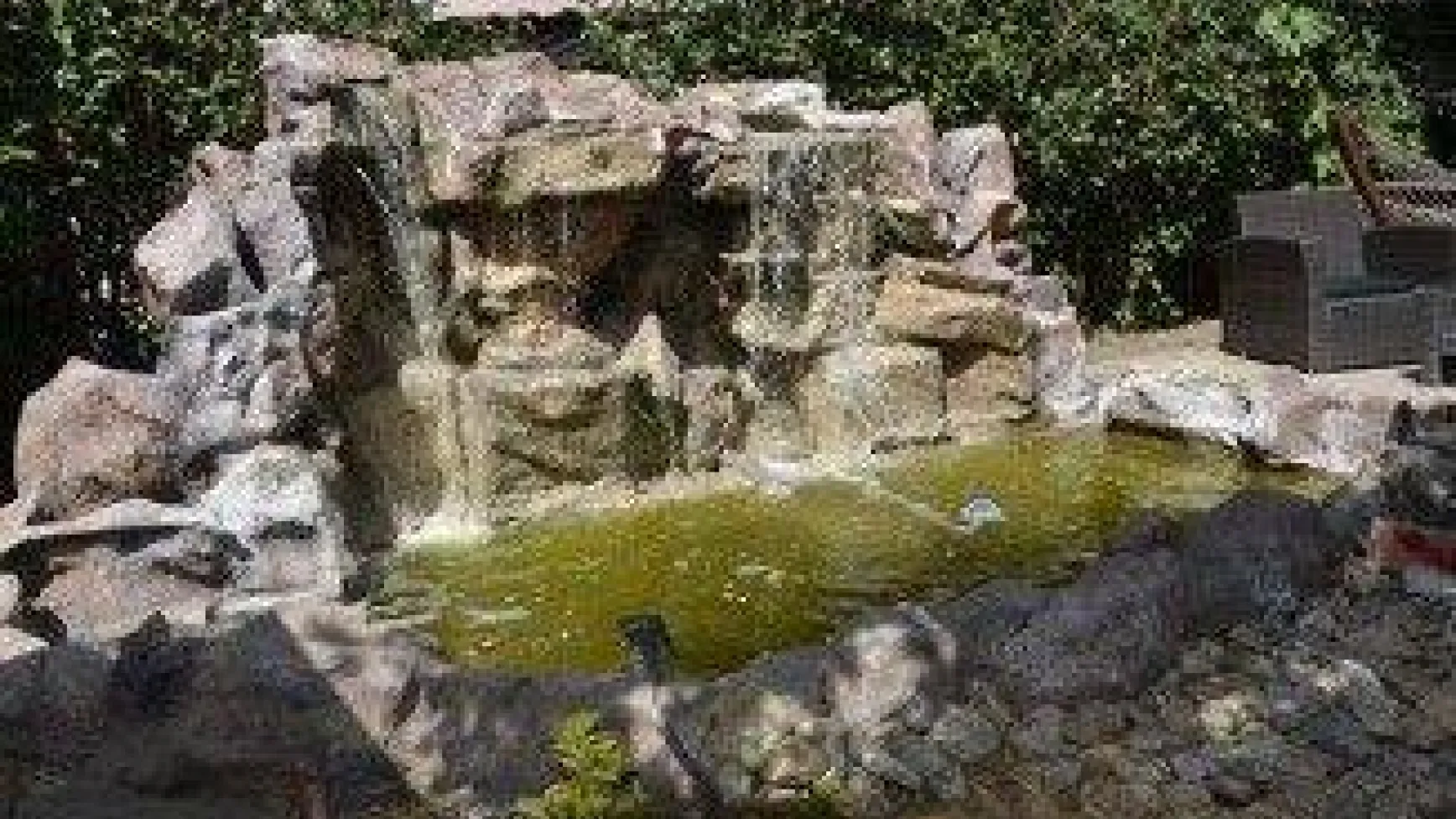 Şehir merkezinde nefes alacağınız bir mekân