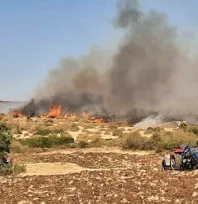 Ezine'de başlayan orman yangını kontrol altına alındı