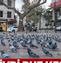 Silivri'de güneşli ama keskin soğuk: Hissedilen -3 derece