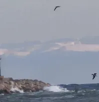 Silivri'den nefes kesen uludağ manzarası: İşte nedeni