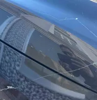 Tekirdağ'da gökyüzünden örümcek ağı yağdı