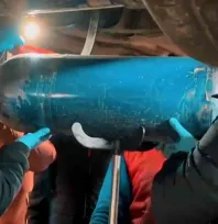 Tekirdağ'da yakıt tüplerine zulalanmış 24 kilo 500 gram skunk ele geçirildi