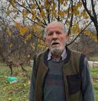 Zirai ilaç yüzünden milyonlarca arısı kovana dönemeden öldü