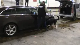 Uyuşturucuyu tampondan egzoza, stepneden tavana gizlemişler