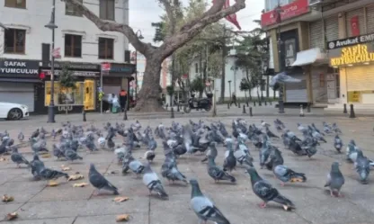 Silivri'de Soğuk Ama Açık Bir Gün: Hava 14 Dereceye Kadar Yükselecek