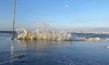 İstanbul'da lodos etkili oldu, deniz anaları kıyıya vurdu