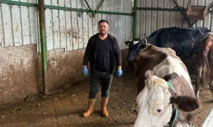 Şap hastalığına bir hayvanını daha verdi