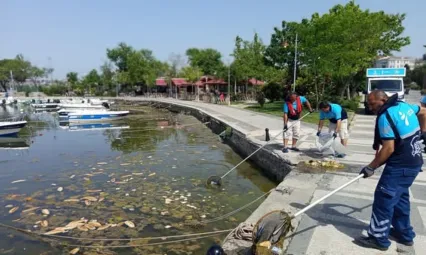 Silivri'de Sahil Temizliği Yazla Birlikte Hız Kazandı