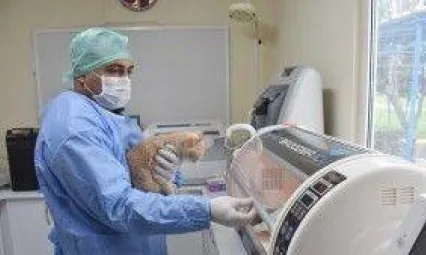 Can dostlarımıza özel yoğun bakım ünitesi