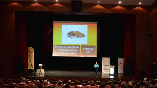 'Bilecik Arıcılık ve Arı Ürünleri' çalıştayı düzenlendi