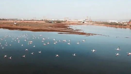 'Kuş Oteli'nde 8 bin kişiye 'doğa pasaportu' verildi