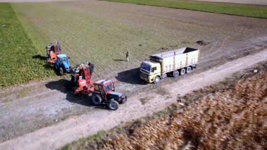 'Türkiye'de ne şeker ne de pirinç krizi var'