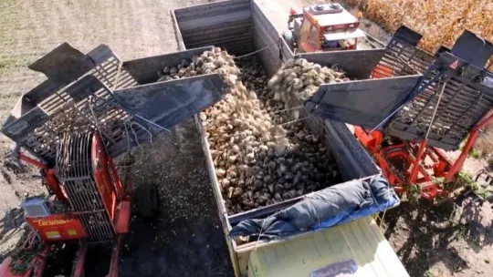 'Türkiye'de ne şeker ne de pirinç krizi var'