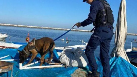 'Türkiye Güven Huzur' Uygulaması çerçevesinde aranması bulunan 871 kişi yakalandı
