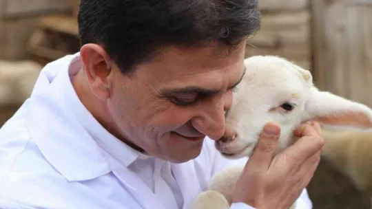 'Yalova kıvırcığı koyunu' yetiştiricisinin yüzünü güldürüyor