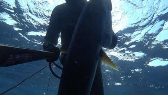1 saat uğraştı, boyu kadar balık yakaladı