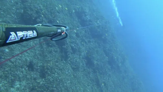 1 saat uğraştı, boyu kadar balık yakaladı