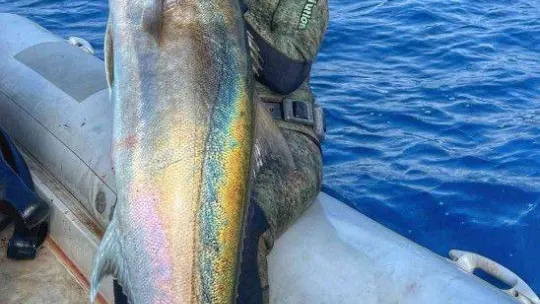 1 saat uğraştı, boyu kadar balık yakaladı