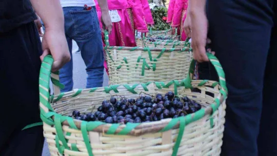14. Kırklareli Yayla Bolluk, Bereket, Hasat ve Bağbozumu Şenlikleri başladı