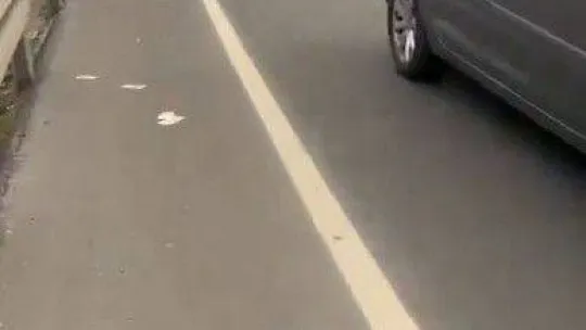 150 bin Euro havaya saçılınca insanlar paraları alıp kaçtı, o anlar kameraya yansıdı