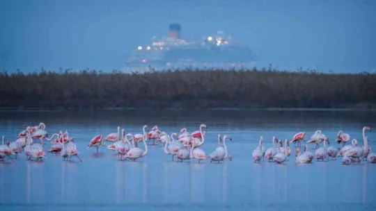 1915 Çanakkale Köprüsü'nde kartpostallık fotoğraflar
