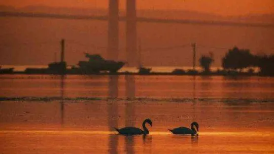 1915 Çanakkale Köprüsü'nde kartpostallık fotoğraflar
