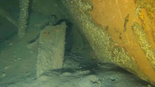 1999 yılında Marmara Denizi'nde batan 'Semele' isimli gemi 23 yıldır çıkartılmayı bekliyor