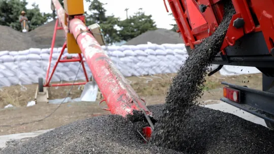 Silivri Belediye Başkan Yardımcısı Meral Kutlu, Fenerköy Yağlı Tohumlar Ayçiçek Alım Tesisi'ni Ziyaret Etti