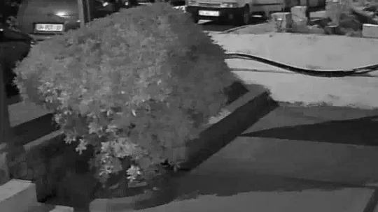 2 günde 3 otomobil çalan zanlı yakalandı