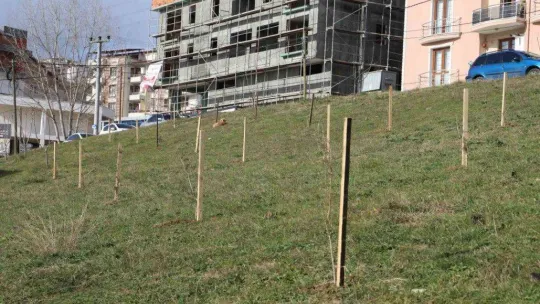 2 mahalleye 118 fidan dikildi