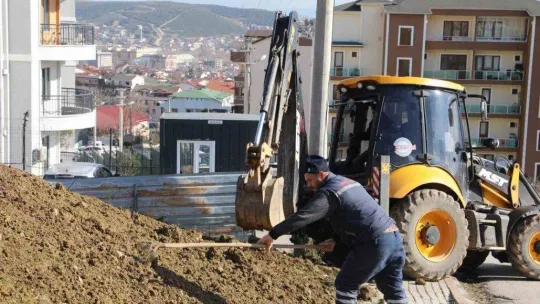 2 mahalleye 118 fidan dikildi