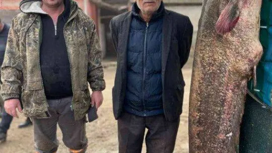 2 metrelik balık oltaya takıldı: Yoldan geçen telefona sarıldı