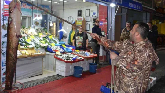 2 metreye yakın dev balık görenleri şaşkına çevirdi