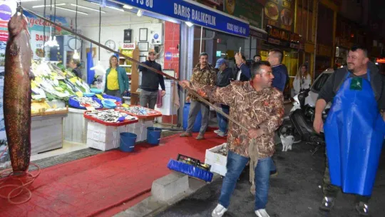 2 metreye yakın dev balık görenleri şaşkına çevirdi