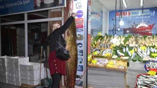 2 metreye yakın dev balık görenleri şaşkına çevirdi