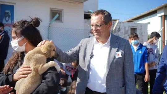 2022 yılı boyunca sokaktaki binlerce can dosta tıbbi müdahale