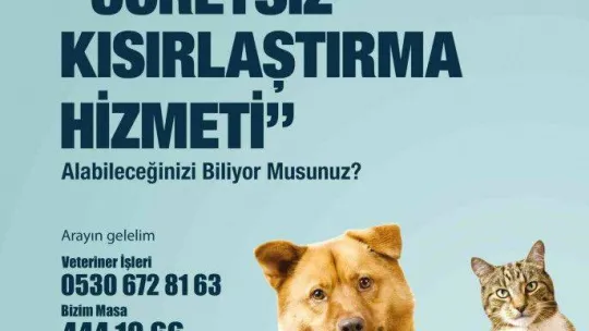 2022 yılı boyunca sokaktaki binlerce can dosta tıbbi müdahale