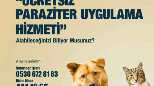 2022 yılı boyunca sokaktaki binlerce can dosta tıbbi müdahale