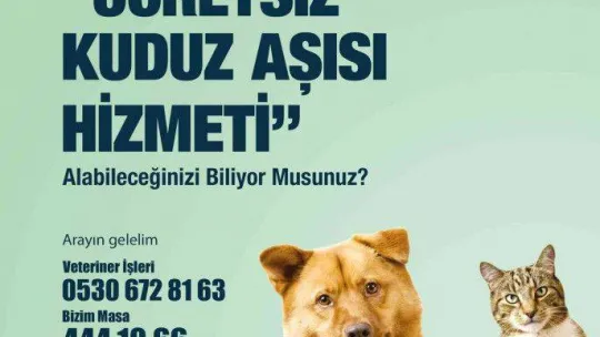 2022 yılı boyunca sokaktaki binlerce can dosta tıbbi müdahale