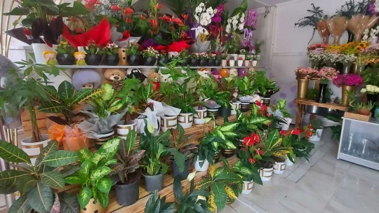 Masal Çiçekçilik yeni adresinde hizmete açıldı