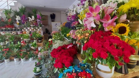 Masal Çiçekçilik yeni adresinde hizmete açıldı