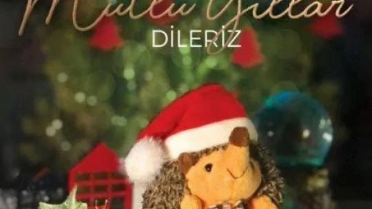 2023'e 'Kirpiş' ile tatlı bir 'merhaba' deyin