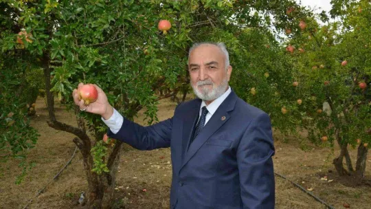 3. Geleneksel Nar Şenliği'nde renkli görüntüler oluştu