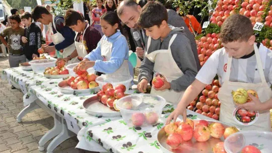 3. Geleneksel Nar Şenliği'nde renkli görüntüler oluştu