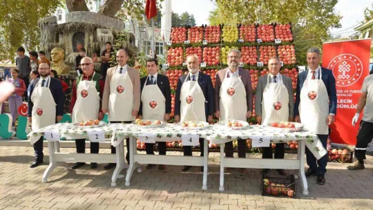 3. Geleneksel Nar Şenliği'nde renkli görüntüler oluştu