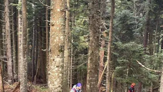 30 gündür kayıptı: Telefonundaki sinyal ekipleri harekete geçirdi