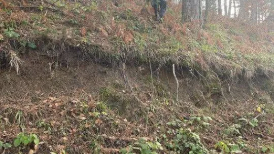 30 gündür kayıptı: Telefonundaki sinyal ekipleri harekete geçirdi