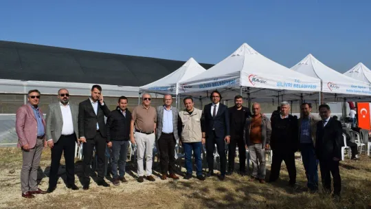 Silivri'de kıvırcık fidesi dağıtımı yapıldı