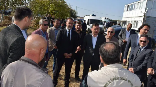 Silivri'de kıvırcık fidesi dağıtımı yapıldı